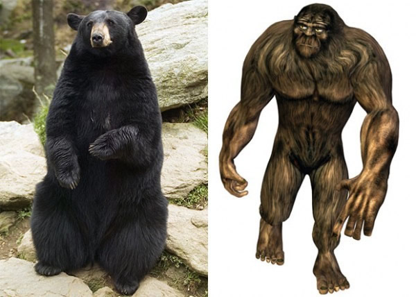英国科学家证实,俄罗斯休利亚山区的「大脚怪」其实是北美黑熊。