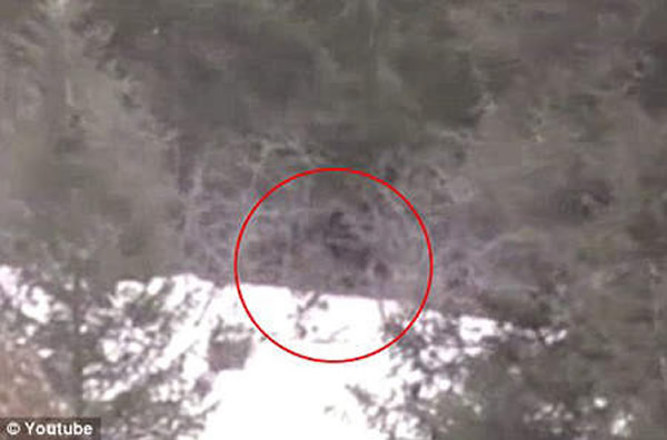 美国一群高中生在爱达荷州树林拍到疑似大脚怪的影片