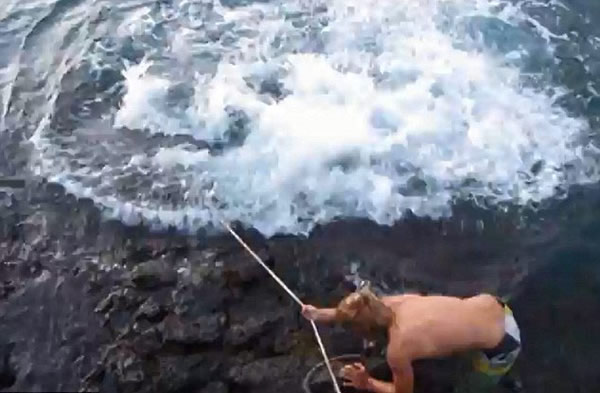 美国夏威夷男子虐打虎鲨视频惹众怒