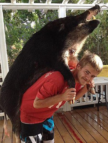 美国夏威夷男子虐打虎鲨视频惹众怒