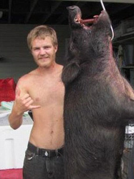 美国夏威夷男子虐打虎鲨视频惹众怒