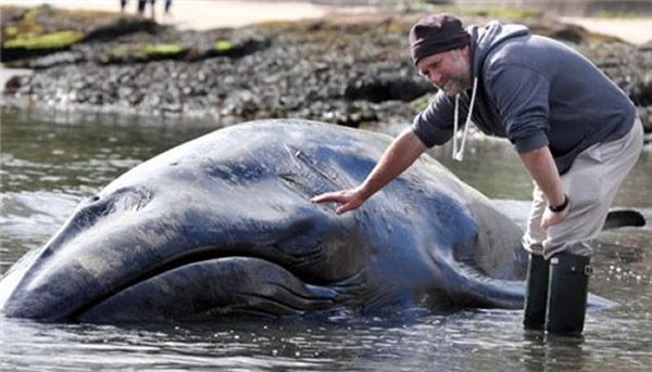 ���عٷ������������Ա�Ծ��;���Ĳк����д�����