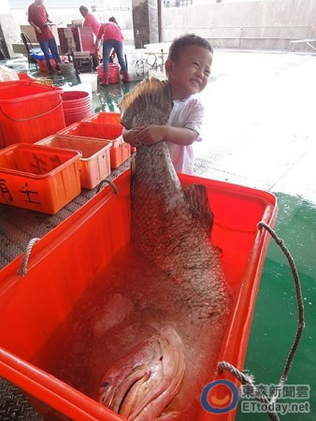 ̨�����񲶻�45.5�����ش�����