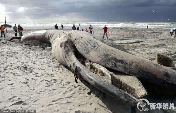 ������̲����6�׳��뾨�ź�