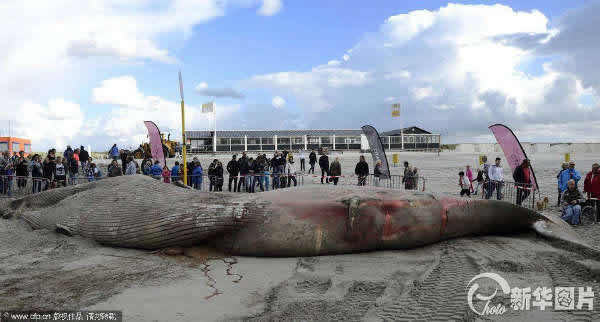 ������̲����6�׳��뾨�ź�