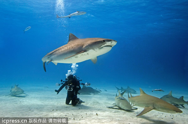 �������������