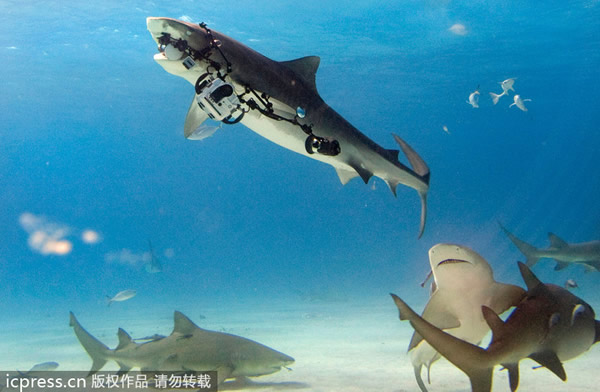 �������������