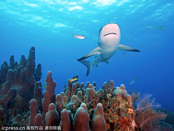 �������������