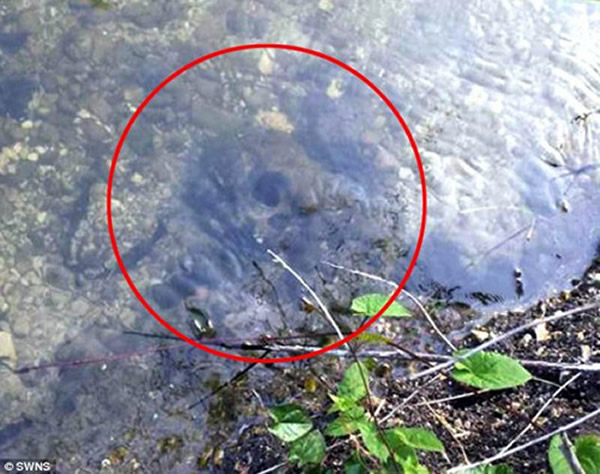 在英国格罗斯特郡的一条河流中发现的头骨被确定属于一名一千年以前的非洲女性