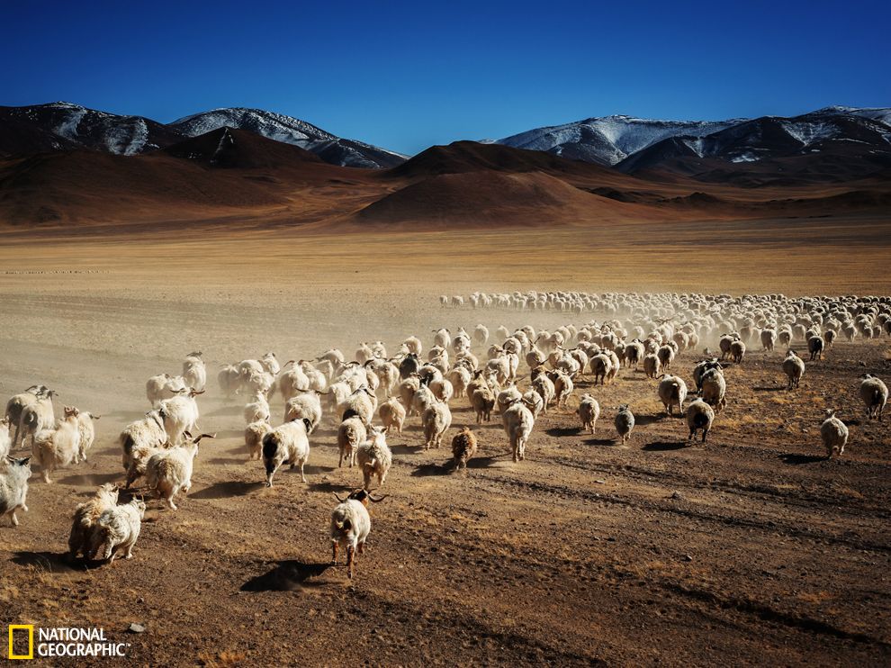 ���й�������Ⱥ