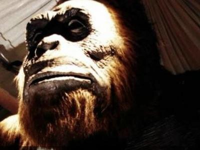 广西野人调查:元宝山地区村民称曾猎杀过野人