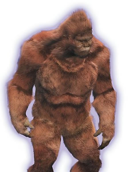 民众描述目击到野人的样貌