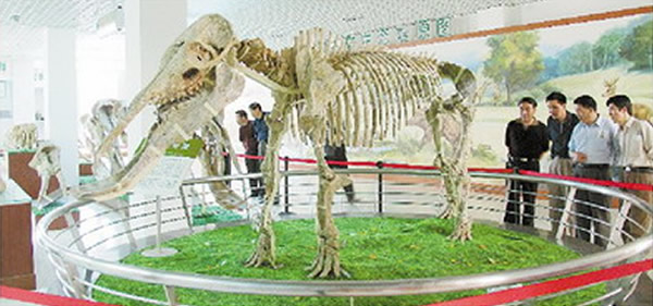 �����Ŷ��ﻯʯչ�������в���ݾ���