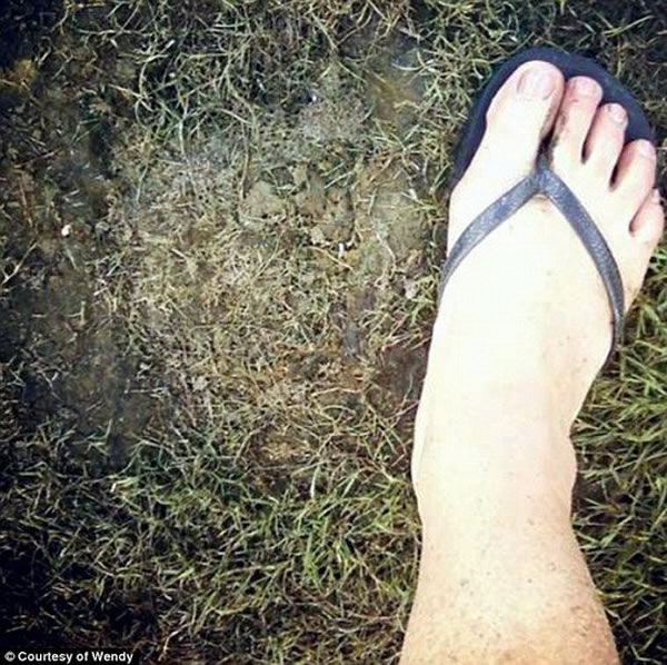 这个神秘脚印陷入土壤深3.8厘米,显然具有脚趾结构,并非熊的足迹