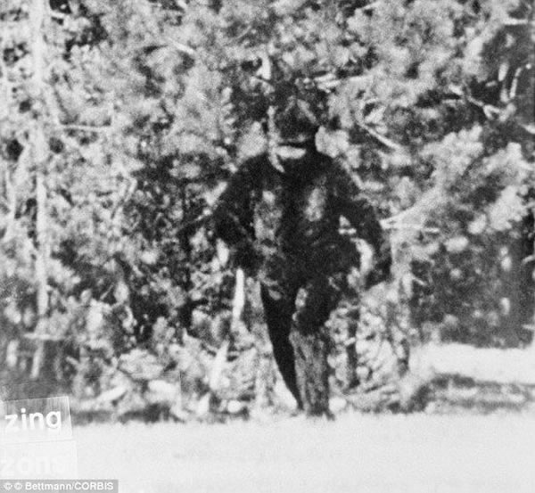 1981年拍摄到的“大脚野人”