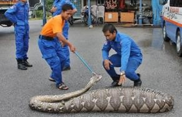 �������Ǿ������̻��򱻳���