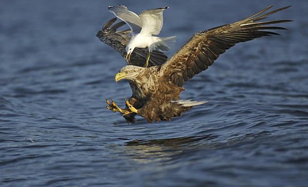 �󵨺�Ÿ�Ⱥ������ʳ