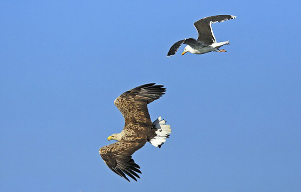 �󵨺�Ÿ�Ⱥ������ʳ