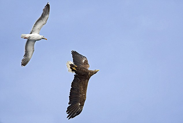 �󵨺�Ÿ�Ⱥ������ʳ