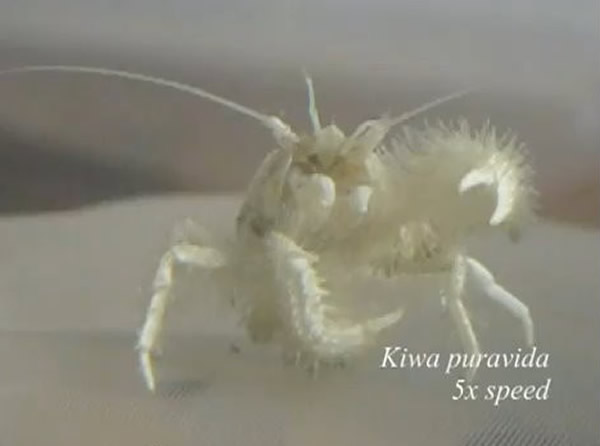 ���ѩ��з����ǯ������ϸ���Ը�����