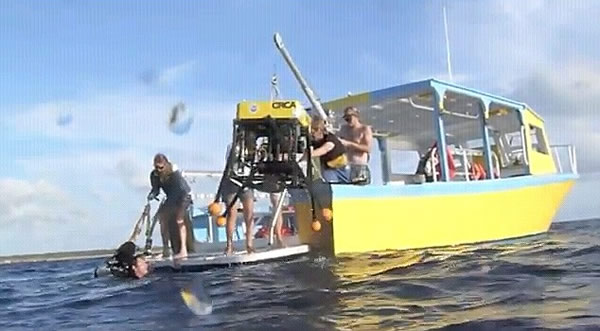 深海“大王具足虫”攻击人类观测站