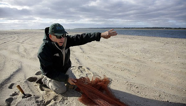 美国科学家用大炮撒网捕鸟实施保护