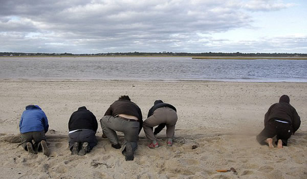 美国科学家用大炮撒网捕鸟实施保护