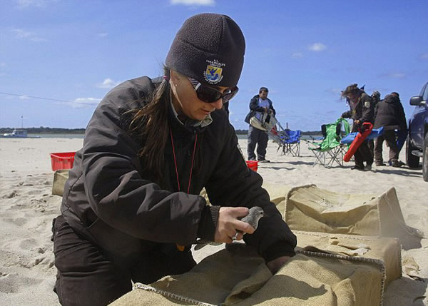 美国科学家用大炮撒网捕鸟实施保护