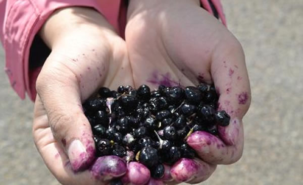 �ຣҰ������������ժ