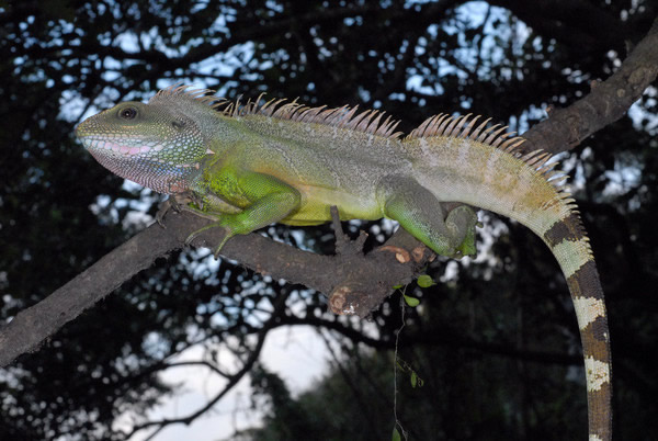 ������ˮ��ȫ���ɴ�92���֣����ͱ�̨������¼���������涼��