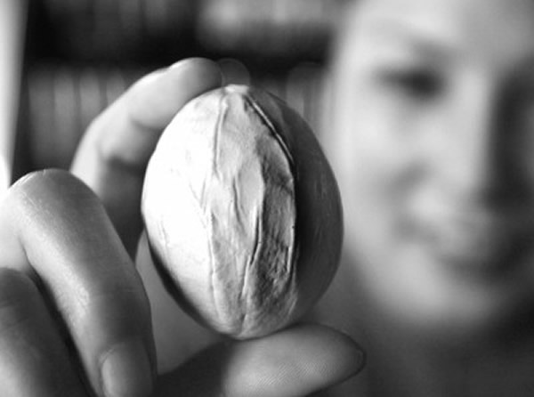 武汉一只母鸡疑似被雷电吓到连续6天下“核桃蛋”