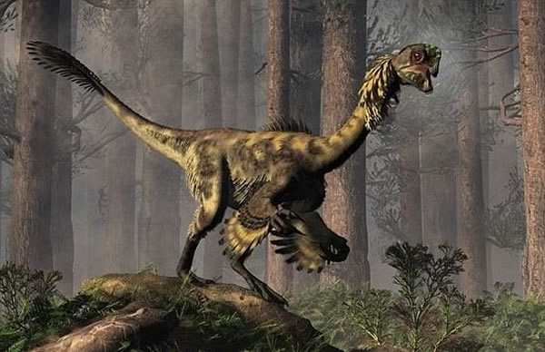 艺术家描绘的葬火龙,最新发现的一块琥珀中显示包含着亮丽的彩色羽毛