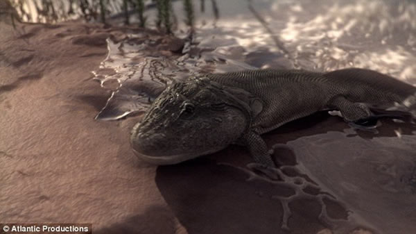 ��������̽����׵��������״��뿪ˮ�򣬲��ڼ��ô󱱲�����Ѱ�ҹ�����ʯ��ͼΪ���ż���֫�����뿪ǳˮ������������