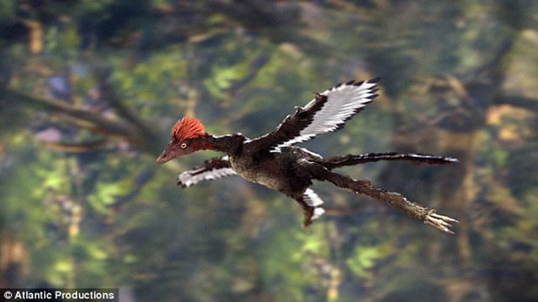 �������ն�������������������ʯ�����о�����