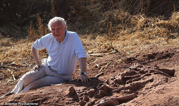 ���������״������й�����½��������ҵ��ʹ�԰���п����о������о����������׵�������ȱʧ���ڣ��Լ���׵�������ͳ�ε����𽥽����γ���������