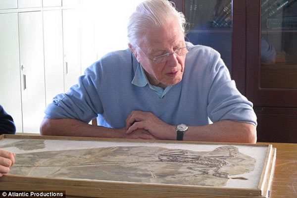 ����½��������ҵ��ʹ�԰��ɽ���б���������΢С�����ܿ��������ǽ����������������ִ��������ë�������Щ��ë������ȡů��֮�������ڷ���