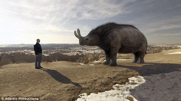 ����ȫ��Χ����Ѱ���صĲ��鶯��ͳ������͵ľ��Ͷ�����磺��Ϭ��