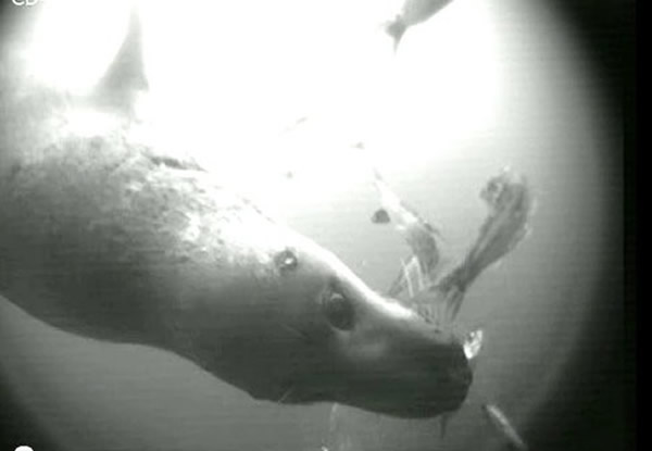 ���洬��������͵��Եġ����Һ�����