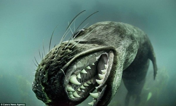 ����װ�����ݡ��ĺ���