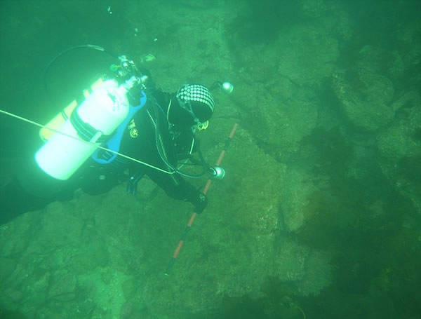 �������֡�Ӣ�������������˹��