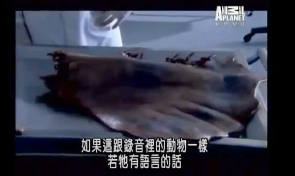 ���������Ŀ�����Ʒ���һ����ʹ�ù��ߣ�����Ⱥ���Ե������������