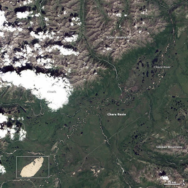 沙地呈现为棕褐色。周围的森林是绿色的。月牙形的线条是沙地中的沙丘脊线。