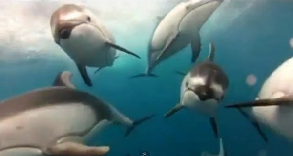 һ��Ⱥ̫ƽ����Ǻ���β�����洬֮��