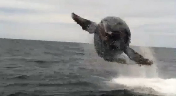 ��ͷ��Ծ��������з������Ѵ�Ū��