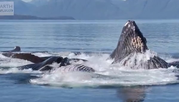 ����������ͷ������ȥ����ô����