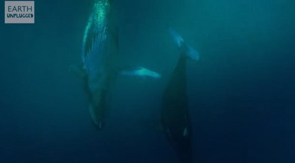 ���ž�����Ǳ�뺣��������Ļ���ҲԽ��ԽС��