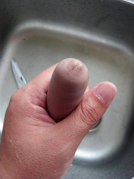 ���صĺ�����������㡱