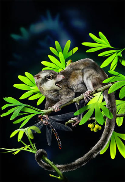 金氏树贼兽复原图