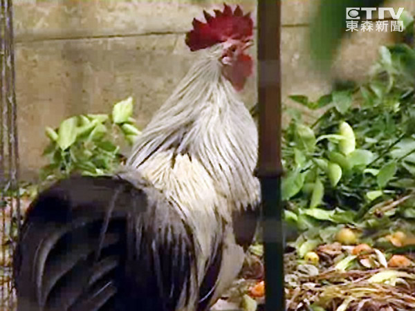 Ӣ������Ͷ�����о�8ǧ����������ô�ͼ��������ں�