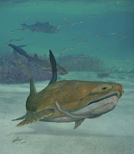 ��ʼȫ��㣨Entelognathus primordialis����̬��ԭͼ��������ͼ��